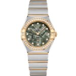 Constellation 131.25.28.60.99.002