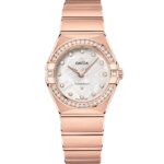 Constellation 131.55.28.60.99.005