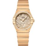 Constellation 131.55.28.60.99.006