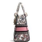 DIOR Lady D-Lite Medium Multicolor Cabinet De La Mer Motif - 图片 4