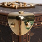 LOUIS VUITTON Camera Box Monogram - 图片 9