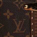 LOUIS VUITTON Camera Box Monogram - 图片 14