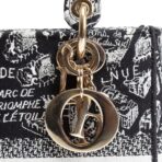 DIOR Lady D-Lite Plan de Paris Black/White - 图片 11