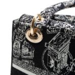 DIOR Lady D-Lite Plan de Paris Black/White - 图片 12