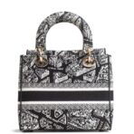 DIOR Lady D-Lite Plan de Paris Black/White - 图片 5
