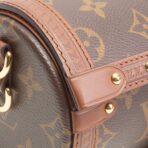 LOUIS VUITTON Monogram Papillon Trunk - 图片 11