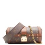 LOUIS VUITTON Monogram Papillon Trunk