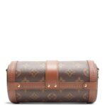 LOUIS VUITTON Monogram Papillon Trunk - 图片 5