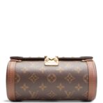 LOUIS VUITTON Monogram Papillon Trunk - 图片 7