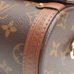 LOUIS VUITTON Monogram Papillon Trunk - 图片 9