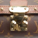 LOUIS VUITTON Monogram Papillon Trunk - 图片 10