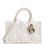 DIOR Mini Dior Book Tote
