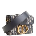 DIOR 30 Montaigne Box Bag - Oblique Canvas - 图片 4