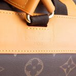LOUIS VUITTON Christopher MM Autres Cuirs Monogram Backpack Leather - 图片 11