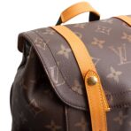 LOUIS VUITTON Christopher MM Autres Cuirs Monogram Backpack Leather - 图片 10