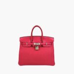 Hermès Birkin 25 Framboise Touch Togo Matt Alligator PHW