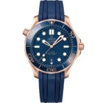 Seamaster Diver 300M 210.62.42.20.03.001