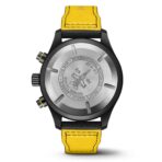 Pilot’s Watch Chronograph Edition “Royal Maces” IW389107 - 图片 2