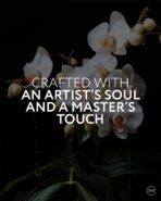 Rolex DiW Daytona RAINBOW VIOLET (Retail: €78 990) - 图片 10