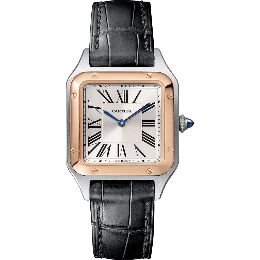 CRW2SA0012_9.jpg Santos-Dumont watch W2SA0012 - 图片 1