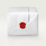 Santos-Dumont watch CRWGSA0083 - 图片 7