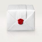 Santos de Cartier skeleton watch CRWHSA0015 - 图片 12