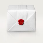 Santos-Dumont Skeleton Watch with micro-rotor WHSA0032 - 图片 8