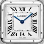 Panthère de Cartier watch WSPN0016 - 图片 2