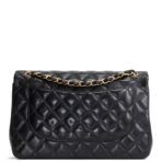 CHANEL Classic Jumbo Double Flap - 图片 6