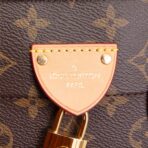 LOUIS VUITTON Carry All MM Monogram - 图片 10
