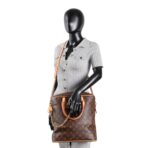 LOUIS VUITTON Carry All MM Monogram - 图片 2