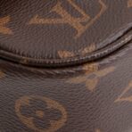 LOUIS VUITTON Monogram Ivy Wallet on Chain - 图片 8