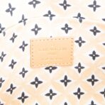 LOUIS VUITTON Monogram Giant By The Pool 2.0 Pochette Felicie - 图片 13