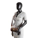 LOUIS VUITTON Monogram Papillon Trunk - 图片 2