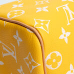 LOUIS VUITTON Monogram Speedy Bandouliere P9 25 Runway - Jaune Mat Yellow - 图片 13