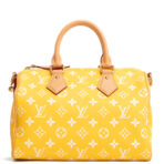 LOUIS VUITTON Monogram Speedy Bandouliere P9 25 Runway - Jaune Mat Yellow