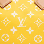 LOUIS VUITTON Monogram Speedy Bandouliere P9 25 Runway - Jaune Mat Yellow - 图片 14