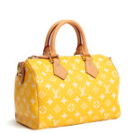 LOUIS VUITTON Monogram Speedy Bandouliere P9 25 Runway - Jaune Mat Yellow - 图片 5
