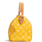 LOUIS VUITTON Monogram Speedy Bandouliere P9 25 Runway - Jaune Mat Yellow - 图片 8