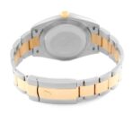 Rolex Datejust 41 Steel Yellow Gold 126333 Silver Dial Mens Watch - 图片 6