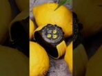 NTPT Carbon Rolex DiW Daytona "LEMON EDITION" (Retail: €54 990) - 图片 18