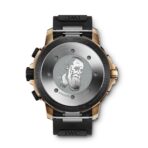 IWC Aquatimer Chronograph Edition "Expedition Charles Darwin" IW379503 - 图片 2