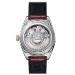 Constellation Globemasterco Axial Master Chronometer Annual Calendar 41mm 130.23.41.22.11.001 - 图片 2