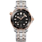 Seamaster Diver 300m Co‑Axial Master Chronometer 42 mm 210.20.42.20.01.001