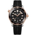 Seamaster Diver 300m Co‑Axial Master Chronometer 42 mm 210.22.42.20.01.002