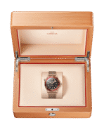 Seamaster Diver 300M 42 mm 210.90.42.20.01.003 - 图片 3